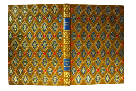 Hellbrauner Ganzledereinband mit vielen rot-blauen Lederauflagen und Handvergoldung, dekorierter Rücken.