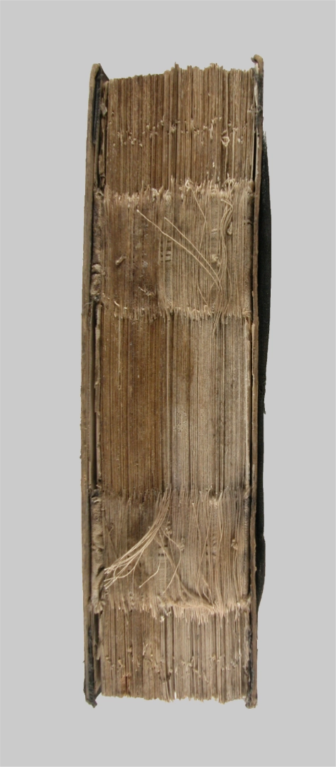 Buchrücken, der Rückenbezug aus schwarzem Gewebe fehlt.